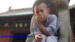 体育培训机构(培训班、学校)哪家好 - 招生网(图5)