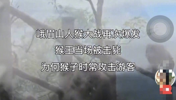 【8点见】731部队原成员口述证言曝光：我解剖过300多人(图8)