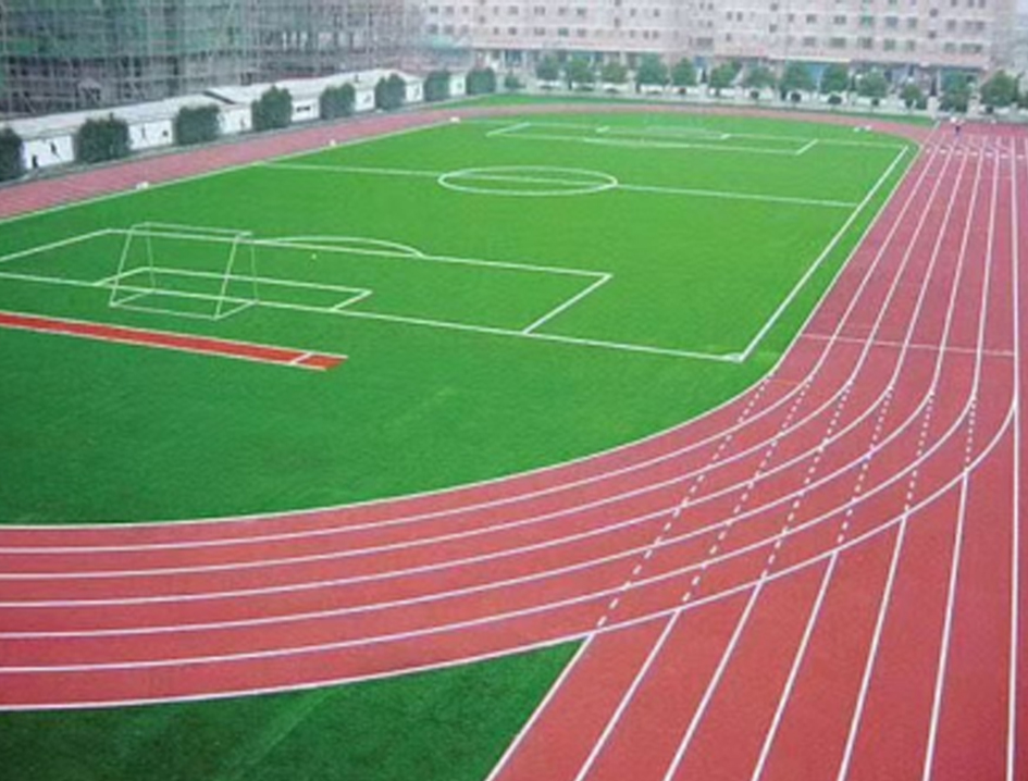 2026年Q1有实力的轮滑球场服务推荐排行榜深度解析(图2)