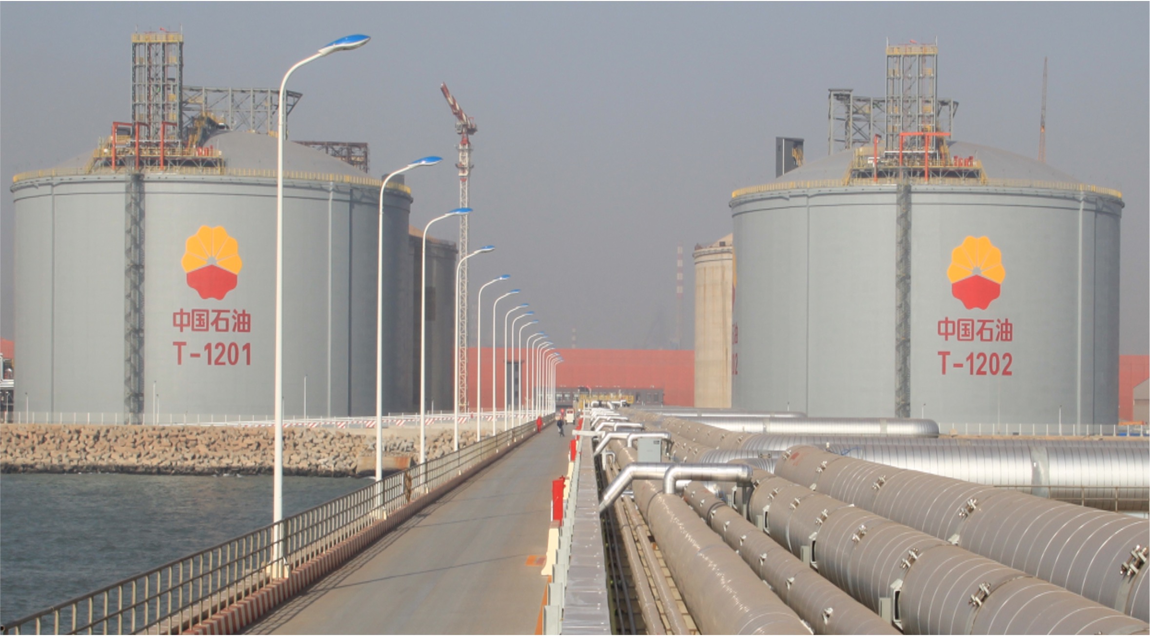 【学习贯彻党的二十届四中全会精神】在开放发展中为国家战略和东北振兴赋能助力(图3)