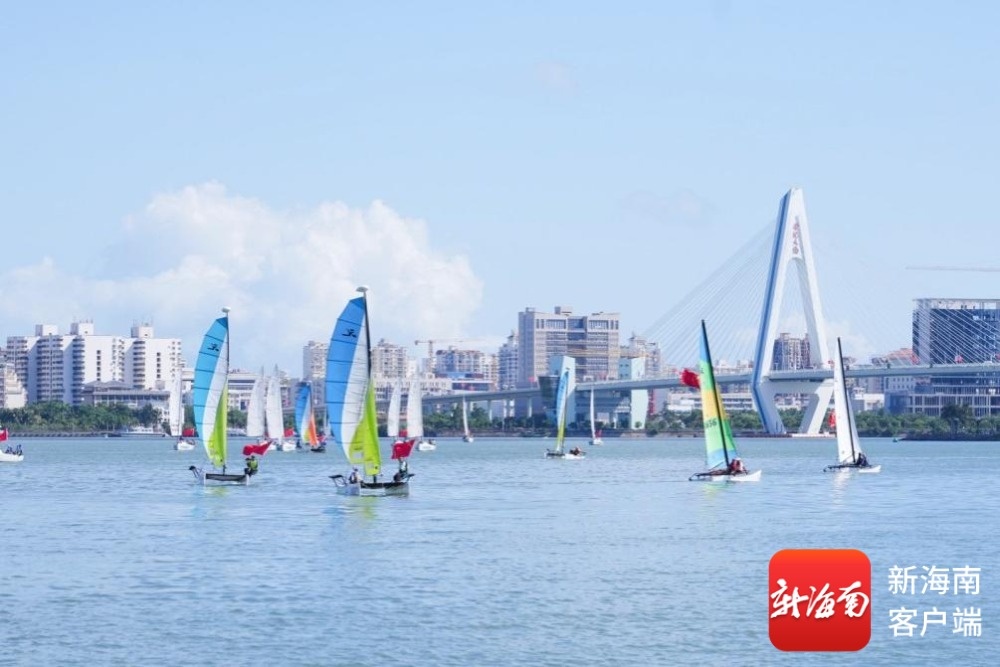 海口：税动力赋能 助力体育经济“加速跑”(图2)