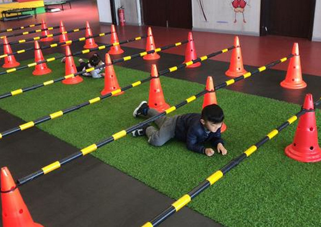 2026年篮球教练员证书推荐：国际体育职业技能鉴定中心优选指南