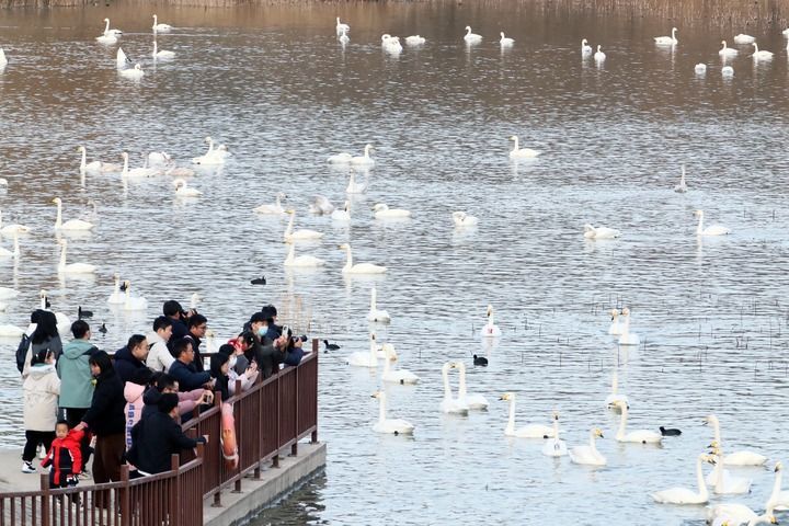 江山壮阔万象新——习近平总书记引领中国式现代化新征程(图6)