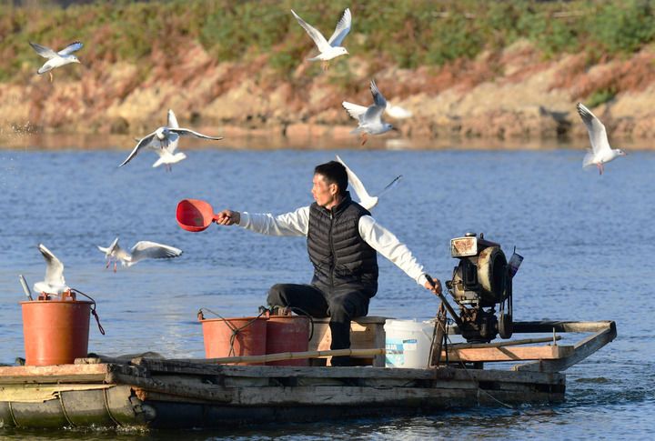 江山壮阔万象新——习近平总书记引领中国式现代化新征程(图11)