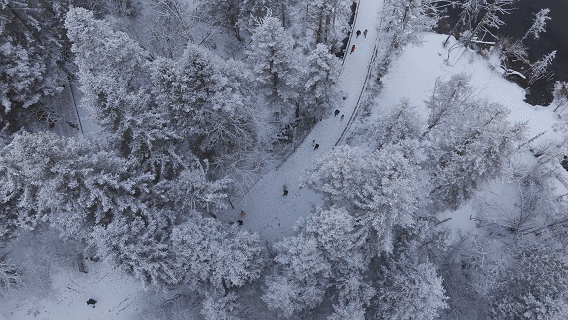 【习声回响·冰雪春天】“川”越冰雪 蜀山出圈