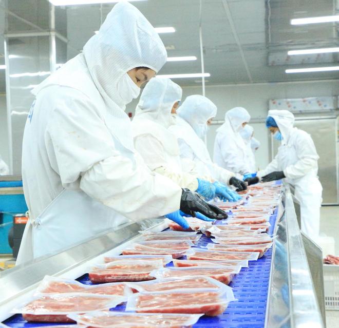 阳信县河流镇：实干绘就振兴卷蓄力奋进新征程