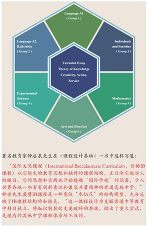 IB课程走红但开设学校不多北上广哪些学校有？